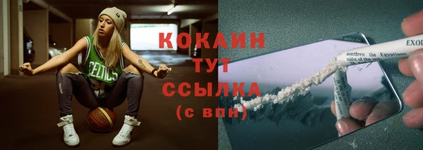 ALPHA PVP Осинники