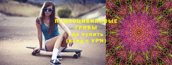 хмурый Алексеевка