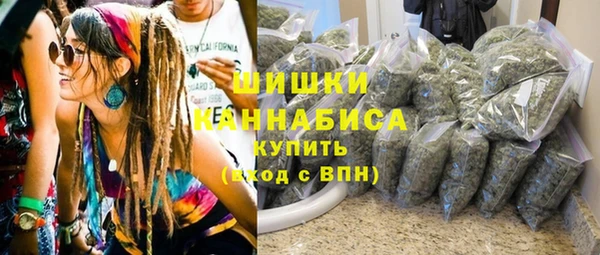 ALPHA PVP Осинники