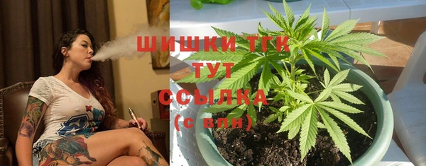 ГАЛЛЮЦИНОГЕННЫЕ ГРИБЫ Алексин