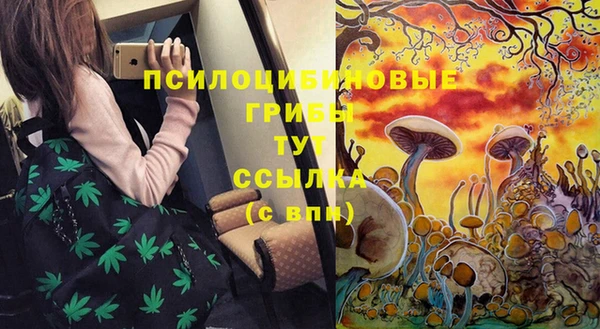 ALPHA PVP Осинники