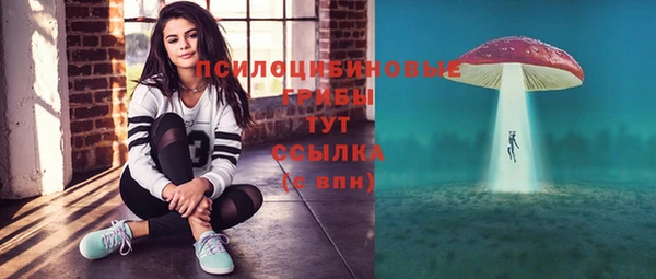 хмурый Алексеевка
