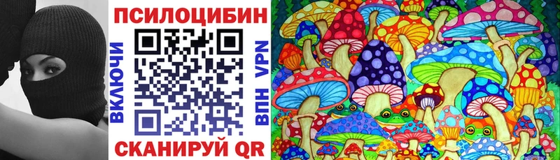 Галлюциногенные грибы Psilocybine cubensis  что такое   Апрелевка 